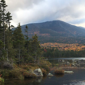 Meet your Posher, Bryce